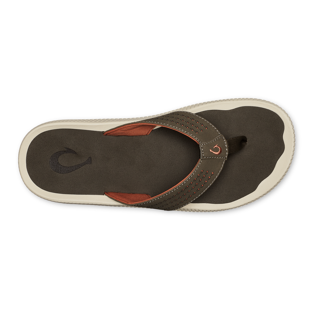 Ulele - Brown Koa / Brown Koa