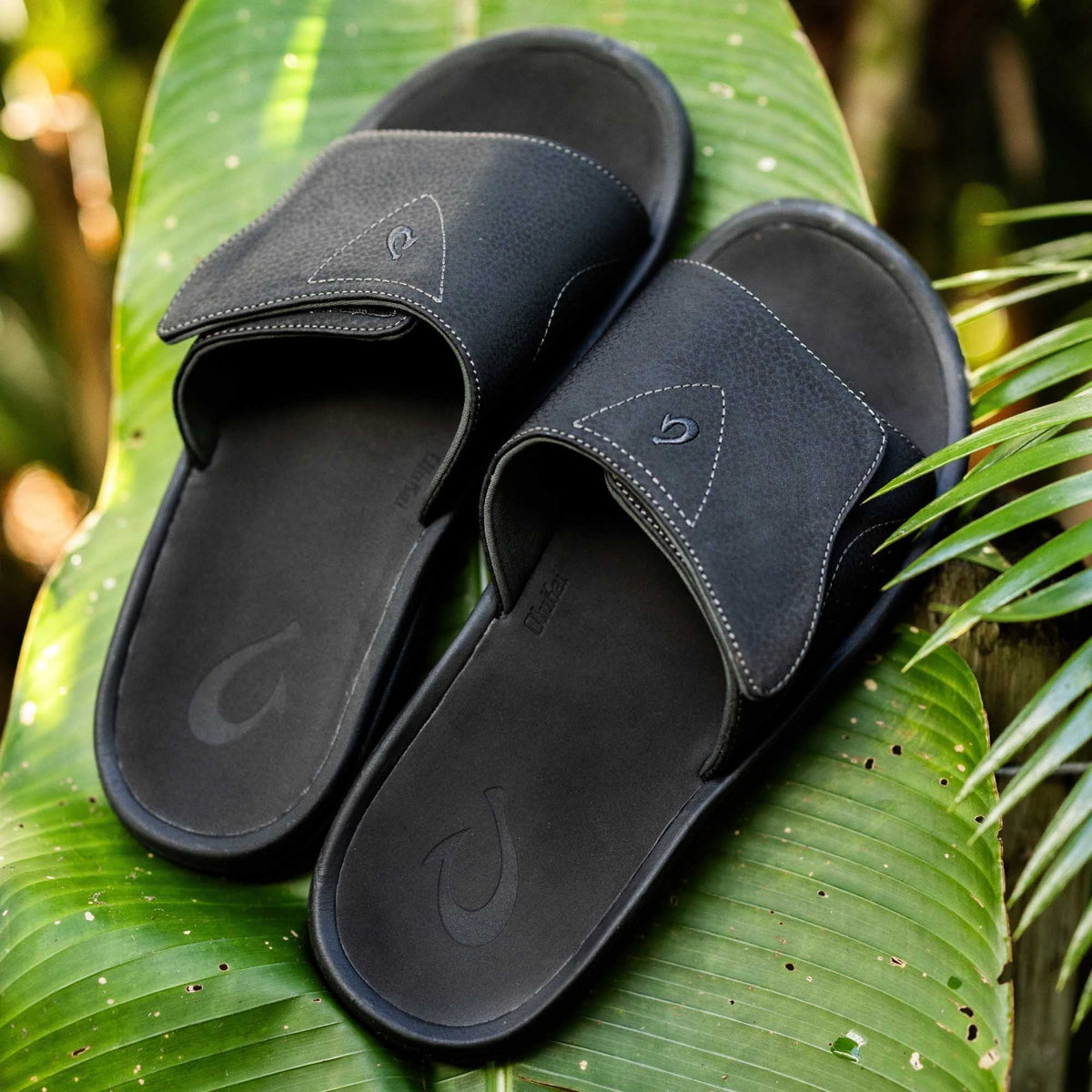 OlukaiNalu Slide - Black