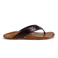 Hikianalia - Dark Java / Tan