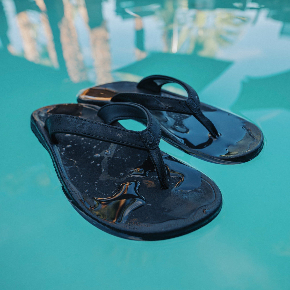 ʻOhana Lahi - Black / Black